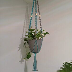 Plant Hanger